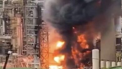 24E30D6E 97AD 41FD 8259 463E30DEC536