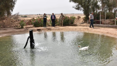 2CCA083A 2792 4003 931E 8EA5C9F46ED5