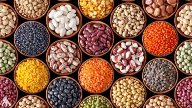 408FAF0F 0103 4585 85EA 76B443D81F8F