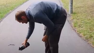 42511 حرق القران في السويد