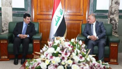 459231A3 E4FB 43E6 8FC0 43B08513ECDD