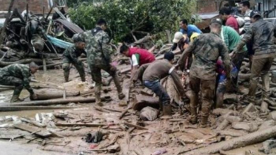 4C0B83D6 F8A0 42A4 8689 F5136734DA9C