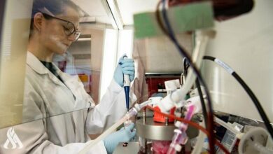 56956841 74C4 485A AB74 FDA026F9B612