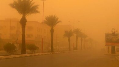 58A1CB60 0925 4AB2 8B3F AB8FF471C091