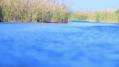 الموارد تحدد الاولوية بتأمين المياه وتوضح بشأن اقرار الخطة الزراعية 5 593014C1 5667 4E06 853E 3C09A8FDCA36