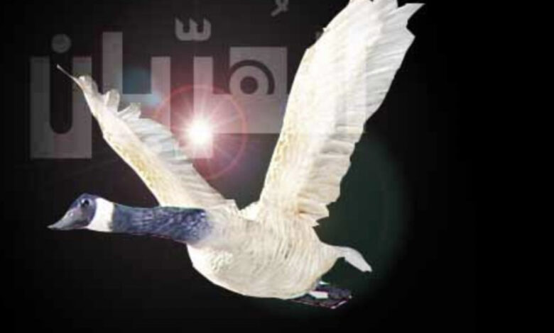 5B7C1C17 778B 48EA A5D9 560DFA7E640E