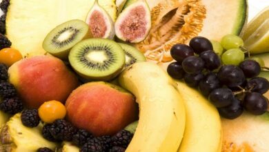 6246e8474236043bbd02cb63