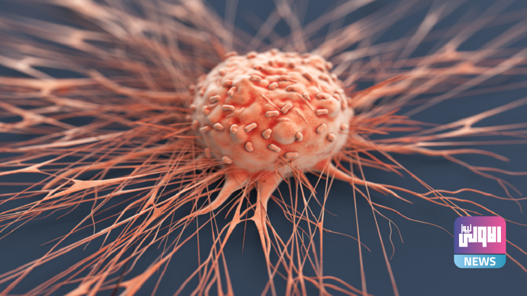 6262b02242360431030a4223