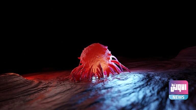 62641f5b4c59b75ef42f5b26