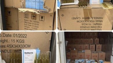 69645D0E F5D2 4A1C 86EB E1F3C0CF8DB2