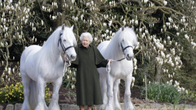 6D1EEC04 9C96 4CD2 BF12 D259E6AFB783