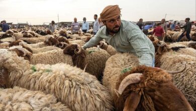 7FF98B89 9B00 4707 B6A6 503EC21357F8