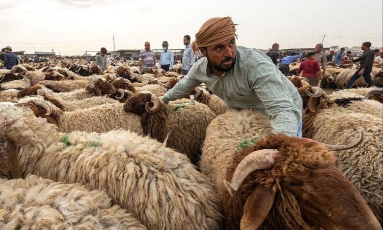 7FF98B89 9B00 4707 B6A6 503EC21357F8