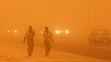 82AEB4EB 43AF 4798 A5AD 52A72C6053F7