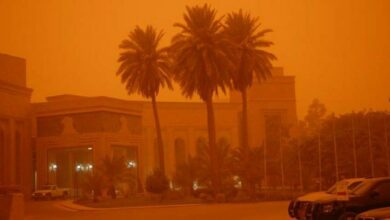 91CF83E5 4A10 4119 BC95 1B82F35A2AD5