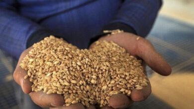 930846BF DCCE 4847 9C56 B6D27545BCB5