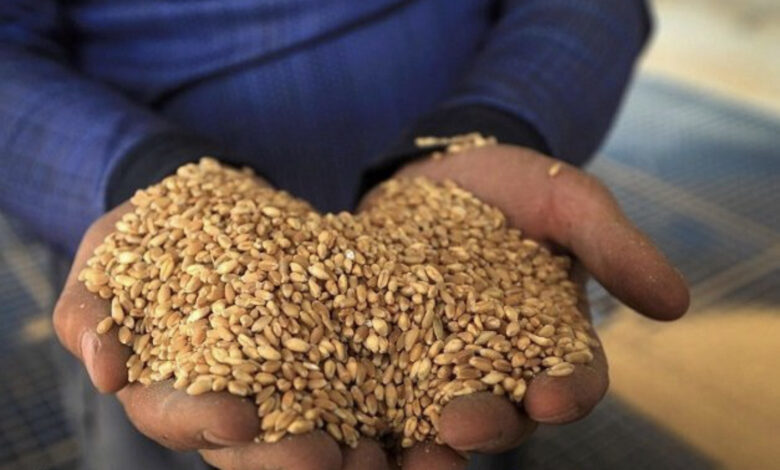 930846BF DCCE 4847 9C56 B6D27545BCB5