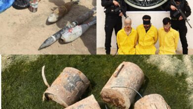 9E8F4D05 81A7 45C7 B835 48C358C55752