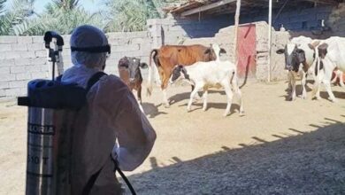 A367A06D 0709 46C1 8CD4 3DB236BD9B48