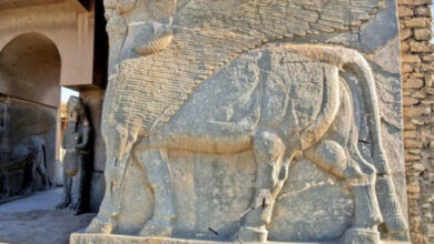 BAF85D29 2071 45A3 98A3 2D7040D29626