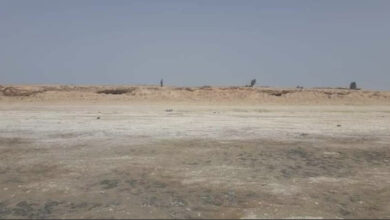 BD68932A 63BD 4E61 8F87 3C1791DD6A8B