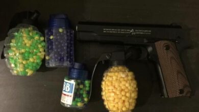 BECD8381 2C3C 4811 B33F 1253BB0C5AB9