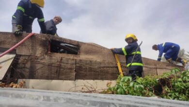 C23462DF E2BC 4E34 A801 3E3BE05A6F4D