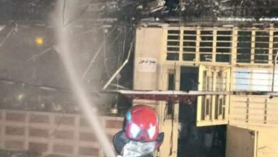 D0AED02E CEF5 4E41 9EE6 43CC1566FCA8