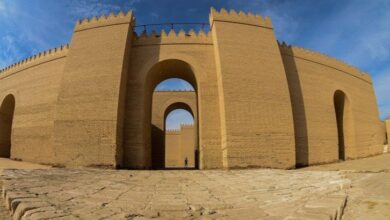 D76434E6 3DF8 4C23 9827 7454827C08A6