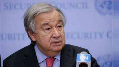 D78AF729 03A2 4117 962C BF74B9B098B5