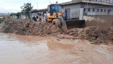 D9133504 A110 4D1E 8419 50EE68A170D2