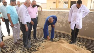 DB76E9AC E884 480A 9572 61D48F1CBB09