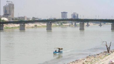 E1E4B56F 76E2 48BC ABB4 796D7724EF39