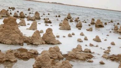 E2539A6E B692 4672 8A53 CAB099A119BD