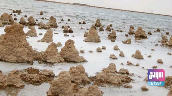 E2539A6E B692 4672 8A53 CAB099A119BD