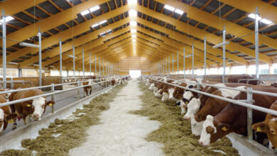 E3E6BE80 D9AE 4BC0 B941 3E22ECE4A071