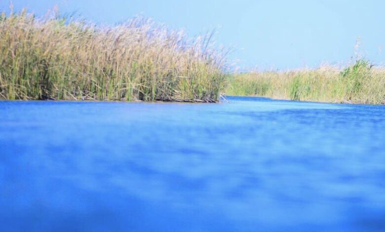 E82B08D8 9A76 49A0 81B2 EBE9451A9ABE