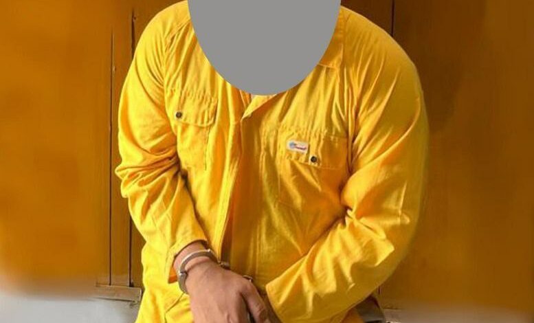 EF409953 FCDD 4A55 9880 E4D47FAF6B08