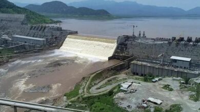 IMG 20220405 111255 525