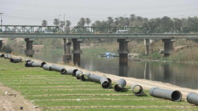 IMG 20220405 124858 844