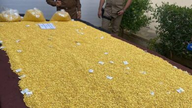 IMG 20220405 194703 096