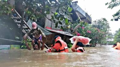 IMG 20220413 113040 237