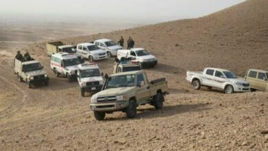 IMG 20220414 121520 028