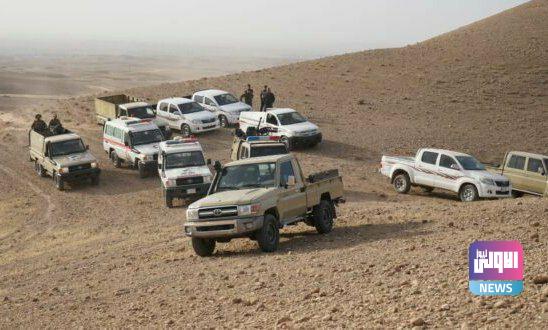 IMG 20220414 121520 028