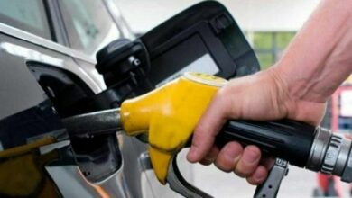 IMG 20220414 122102 236