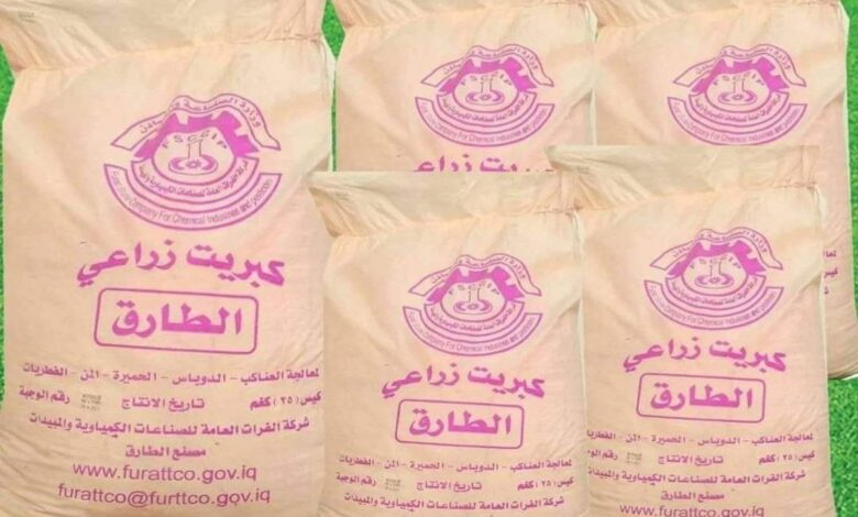 IMG 20220419 113812 300