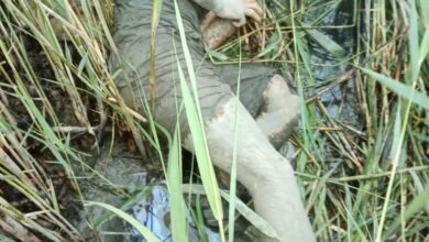 IMG 20220421 102750 714