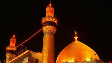 IMG 20220421 124211 418