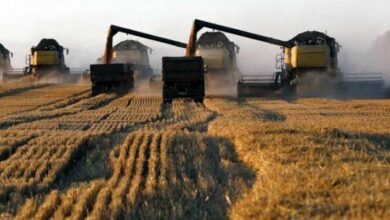 سوفكون: إنتاج القمح الروسي سيبلغ مستوى قياسياً هذا العام 3 IMG 20220421 174817 488