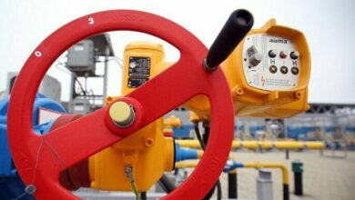 IMG 20220423 113202 882